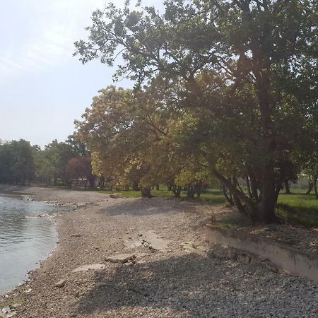 Apartman Garden Poreč Dış mekan fotoğraf
