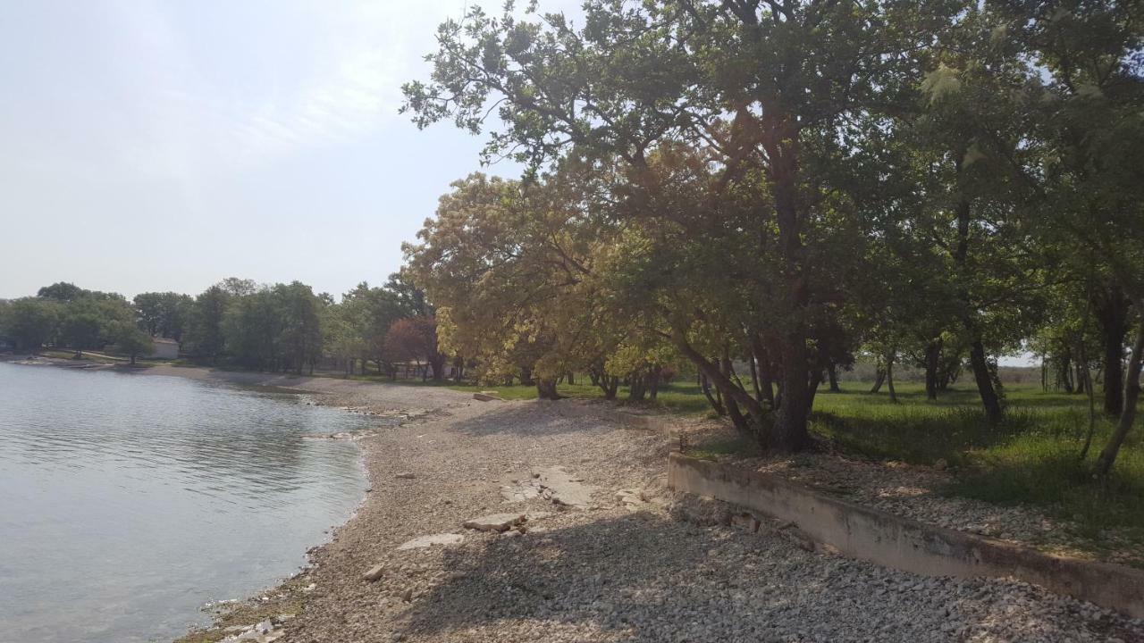 Apartman Garden Poreč Dış mekan fotoğraf
